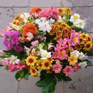 Праздничные букеты582