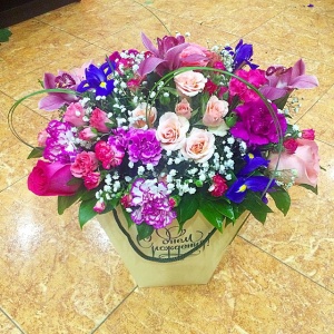 11123949_364506163736288_1121082740_n