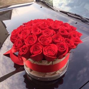 11055780_1405785976401717_1624640305_n