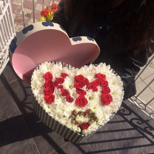 11123927_869884789719252_41180371_n 1