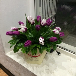 11116840_825236064232180_1932889222_n