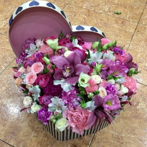 11098227_428219777348899_1658393712_n